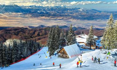 Guest Houses in Poiana Brasov