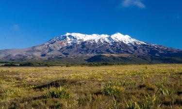 Activități în Parcul Național (NZ)