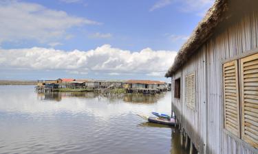 Flights to Cotonou