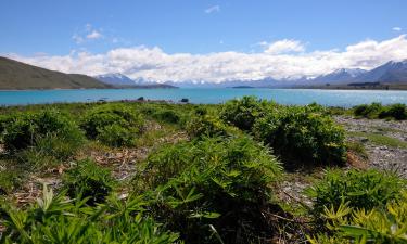 Hoteles en Lake Tekapo