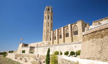 Hotel-hotel bajet di Lleida