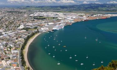 Flights from Birmingham to Tauranga