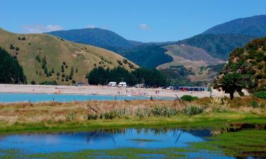 Flights from Cleveland to Nelson