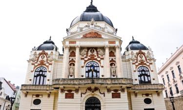 Things to do in Pécs