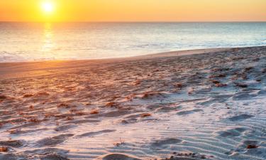 Pet-Friendly Hotels in Vero Beach