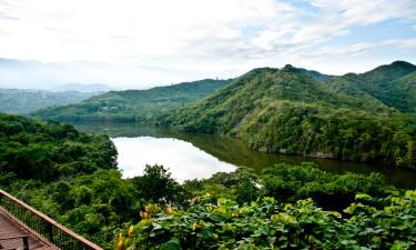 Hotels in Puerto Nariño