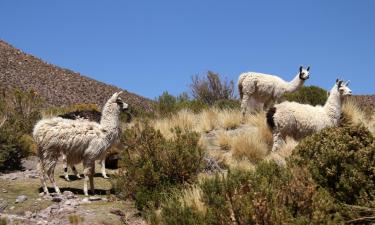 Vuelos de Buenos Aires a Cochabamba