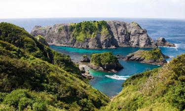 Properties with Onsen in Izu