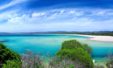 Hotel Mesra Haiwan Peliharaan di Merimbula