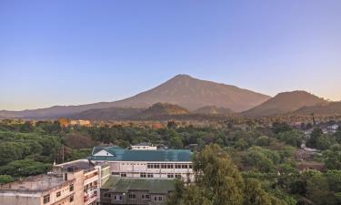 Voos de Bukoba para Arusha