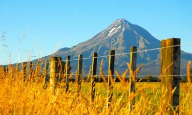 Cheap holidays in New Plymouth