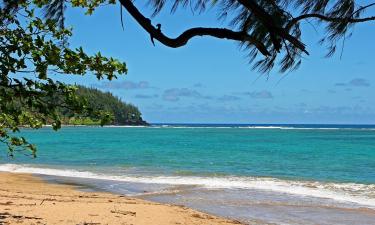 Hotéis em Tanna Island