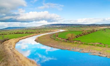 Flights to Shannon