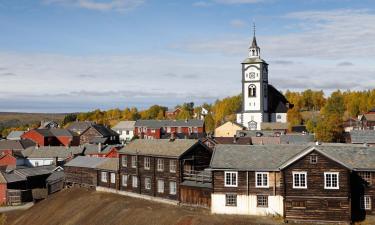 Flyg till Røros