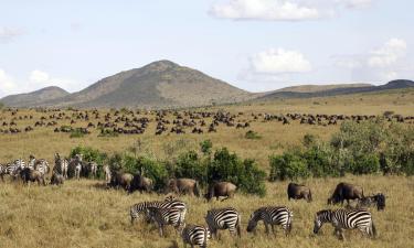 O que fazer em Masai Mara