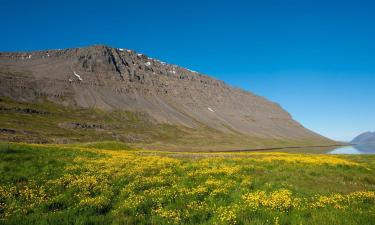 Hotel Keluarga di Patreksfjörður