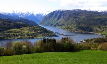 Se hva du kan gjøre i Ulvik