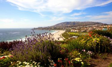 Things to do in Dana Point