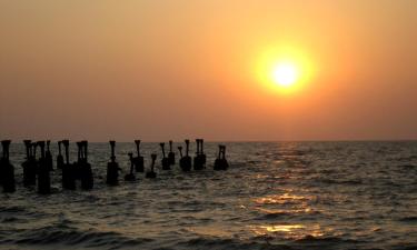 Cheap vacations in Kozhikode