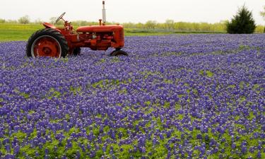 Things to do in Marble Falls