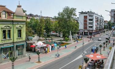 Car rental in Mladenovac