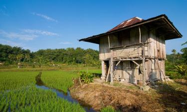 Flights to Bandar Lampung