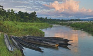 Hoteles en Sauraha