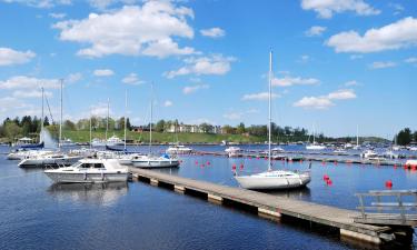 Hoteles que aceptan mascotas en Lappeenranta