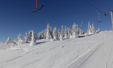 Cottages in Sälen