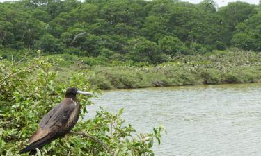 Hotels in Machala