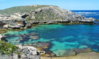 Things to do in Rottnest Island