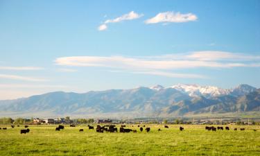 Motels in Bozeman