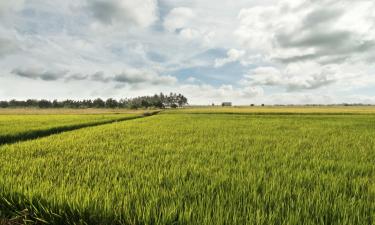 Wynajem samochodów w mieście Butterworth