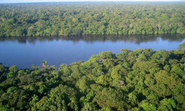 Hotéis em Tortuguero