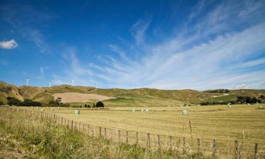 Flights from London to Palmerston North