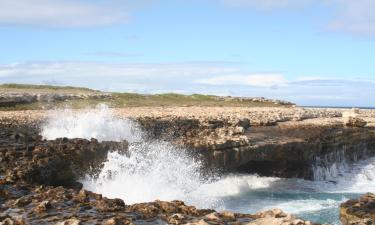 Flights from Basseterre to Saint Johnʼs