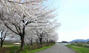 Flights from Washington, D.C. to Akita