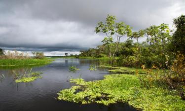 Flights to Pucallpa