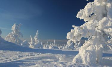 Cheap holidays in Gällivare