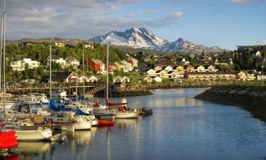 Vols pour Narvik