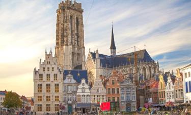 Things to do in Mechelen