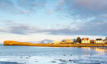 Cheap holidays in Höfn