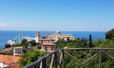 Flights from New York to Ancona