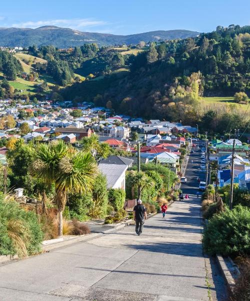A beautiful view of Dunedin
