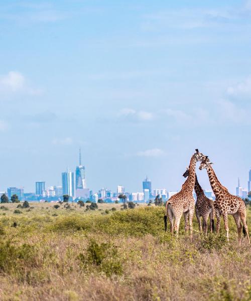 A beautiful view of Nairobi