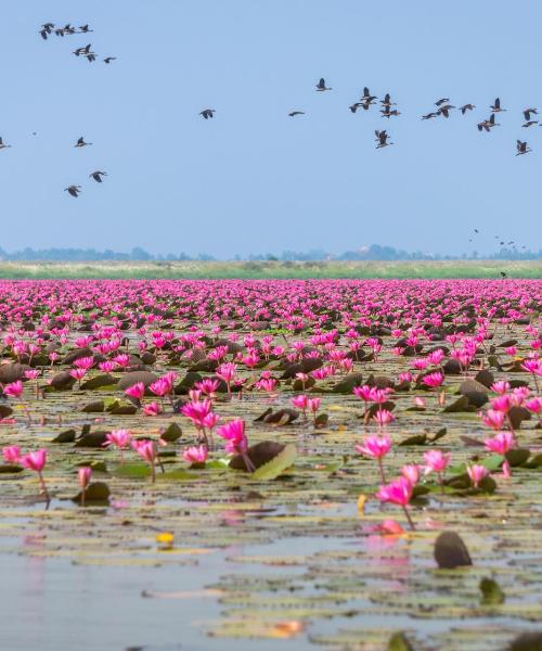 A beautiful view of Udon Thani