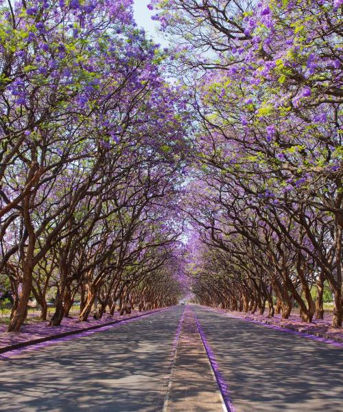 Paisaje espectacular de Harare, una ciudad popular entre nuestros usuarios