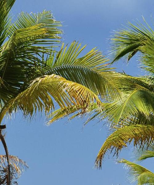 A beautiful view of Palm Beach serviced by Palm Beach International Airport