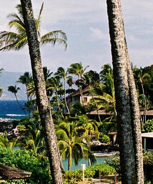 A beautiful view of Wailea – a popular city among our users
