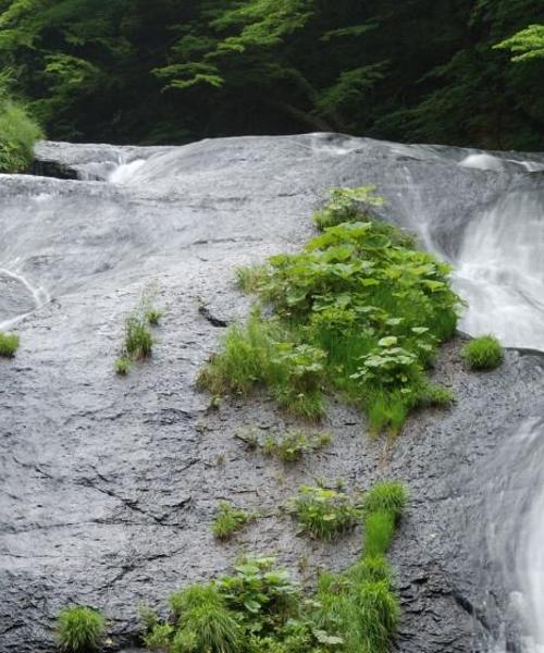 Čudovit pogled na mesto Hanamaki